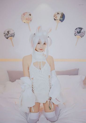 鸟 电影