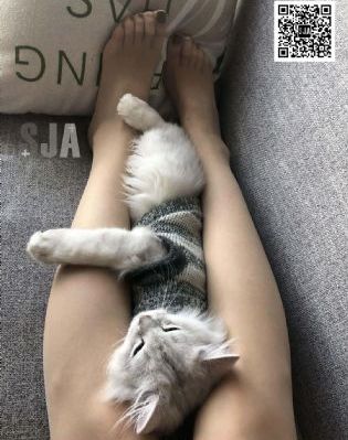 九1看片