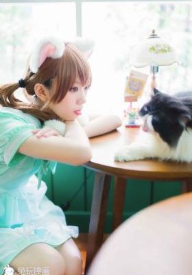 电视剧芝麻胡同免费观看全集