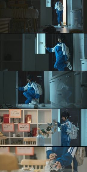 金粉蝶