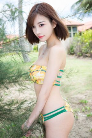 西行纪年番全集免费观看完整版