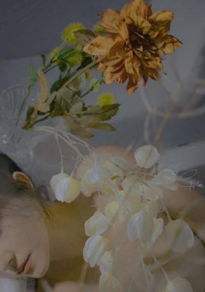 堕落天使3电影免费观看