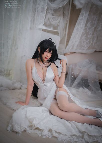 静物的记忆