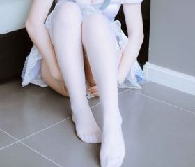 女士的品格电视剧免费观看完整版