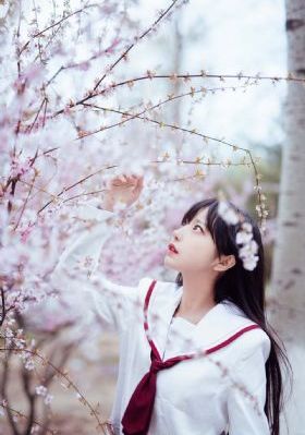 电视剧墨雨云间免费看